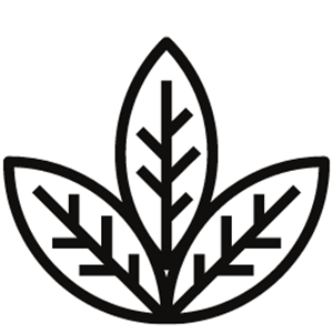 Organic/Low Acid